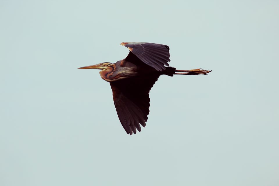 Photo of Mayura River View, Srirangapatna, SH17, Srirangapatna, Karnataka, India by tanwistha gope