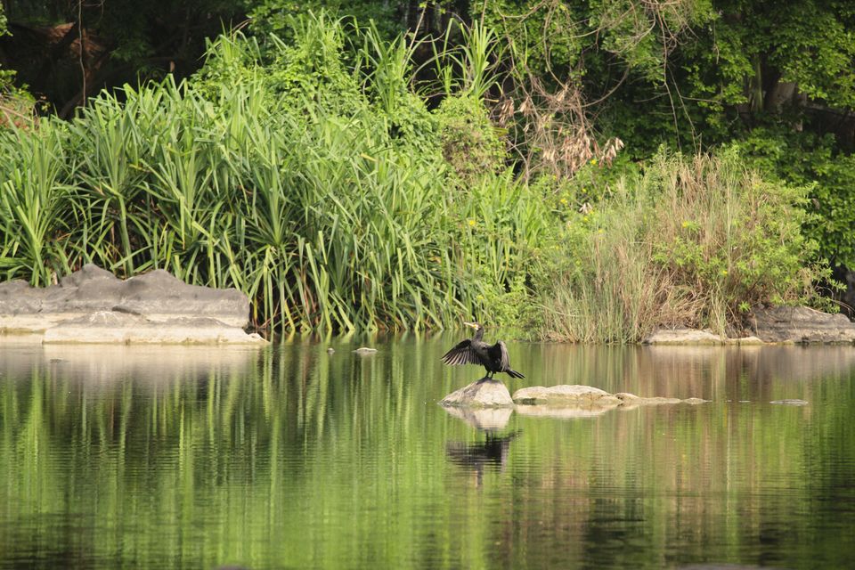 Photo of Mayura River View, Srirangapatna, SH17, Srirangapatna, Karnataka, India by tanwistha gope