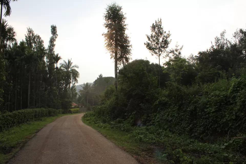 Photo of Hirekolale Road, Uppalli, Chickmagaluru, Karnataka, India by tanwistha gope