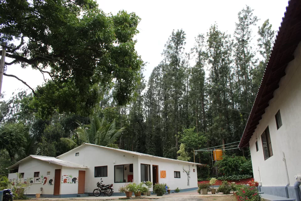 Photo of Zostel Chikmagalur, Chickmagaluru, Karnataka, India by tanwistha gope