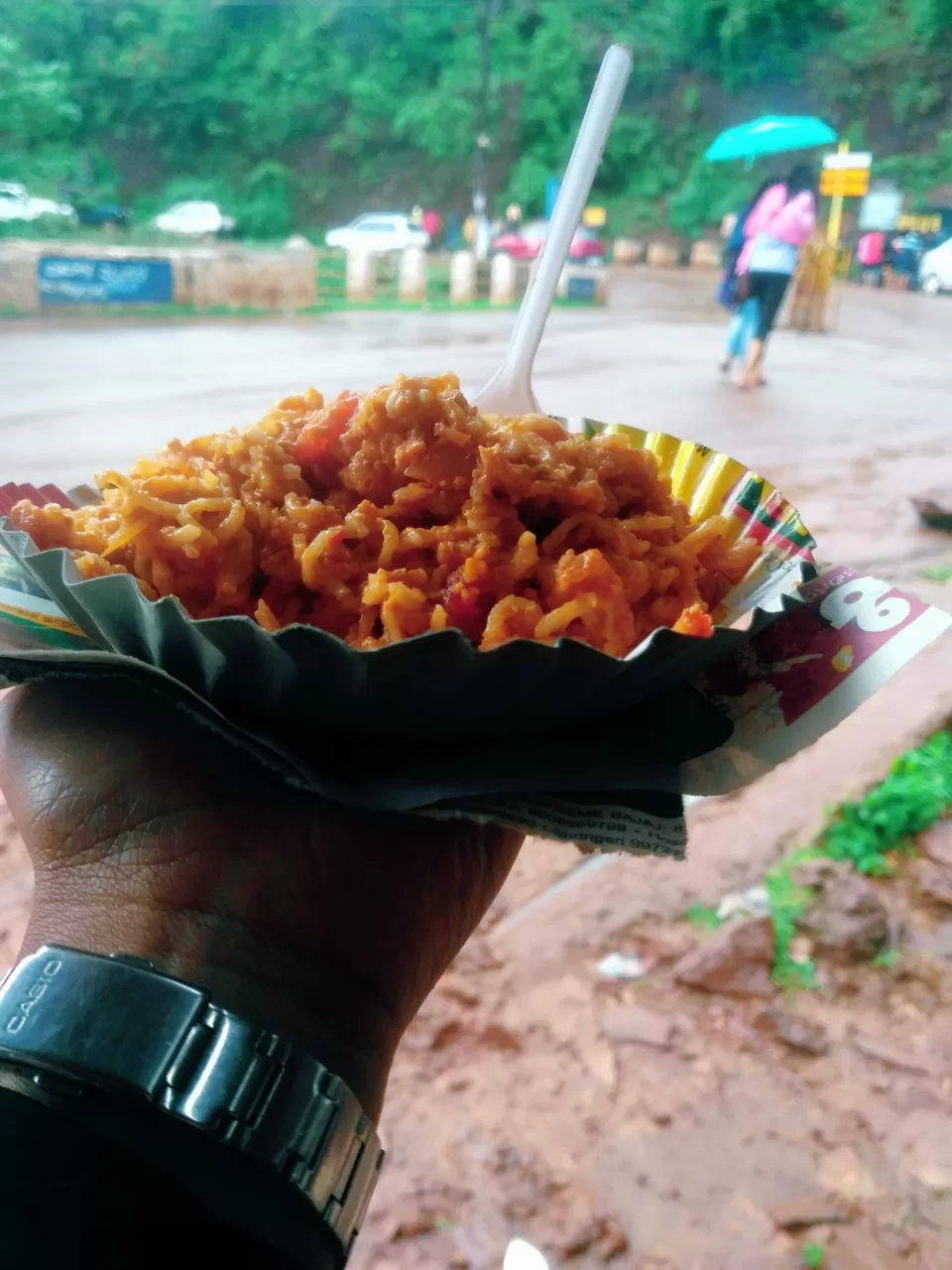 Photo of Chikkamagaluru, Karnataka, India by tanwistha gope