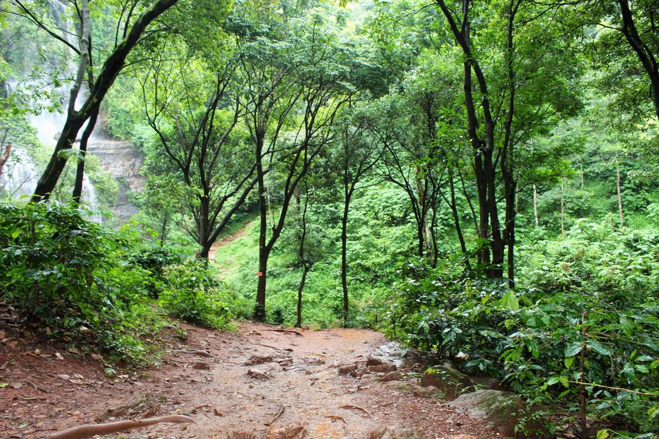 Photo of Hebbe Falls, Kesavinamane, Karnataka, India by tanwistha gope