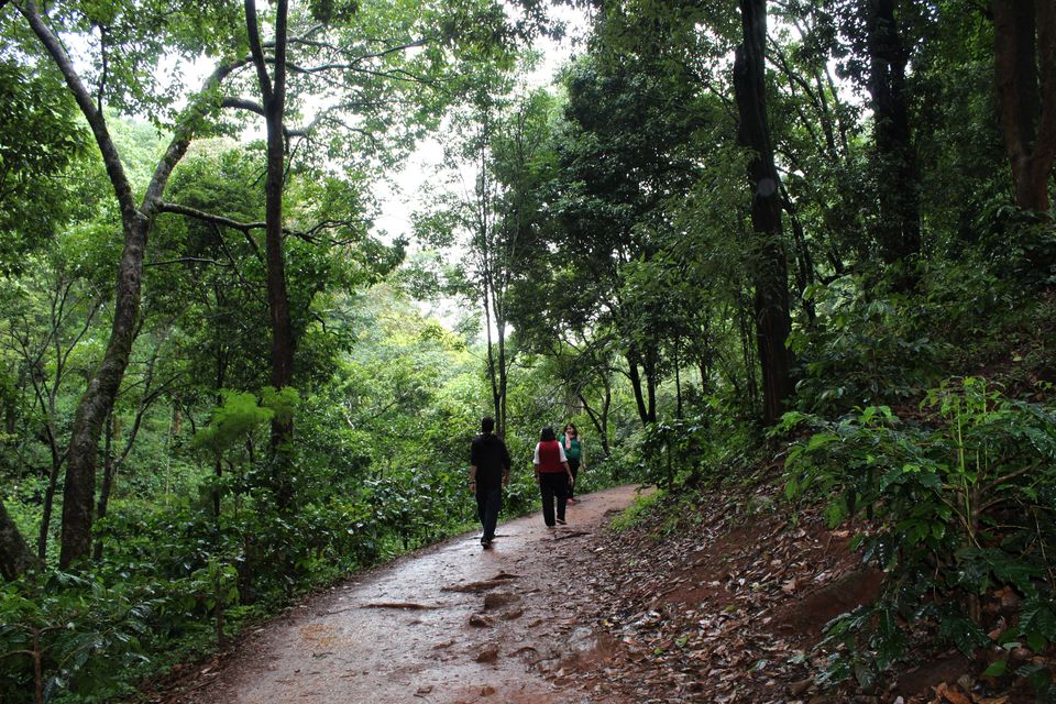 Photo of Hebbe Falls, Kesavinamane, Karnataka, India by tanwistha gope