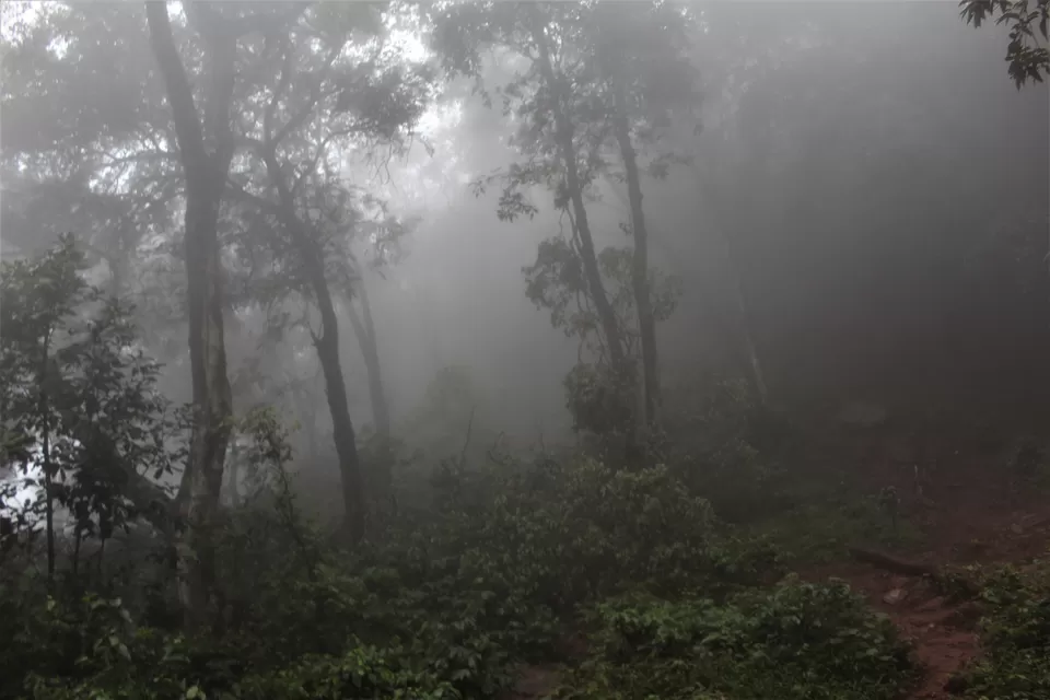 Photo of Hebbe Falls, Kesavinamane, Chikkamagaluru, Karnataka, India by tanwistha gope