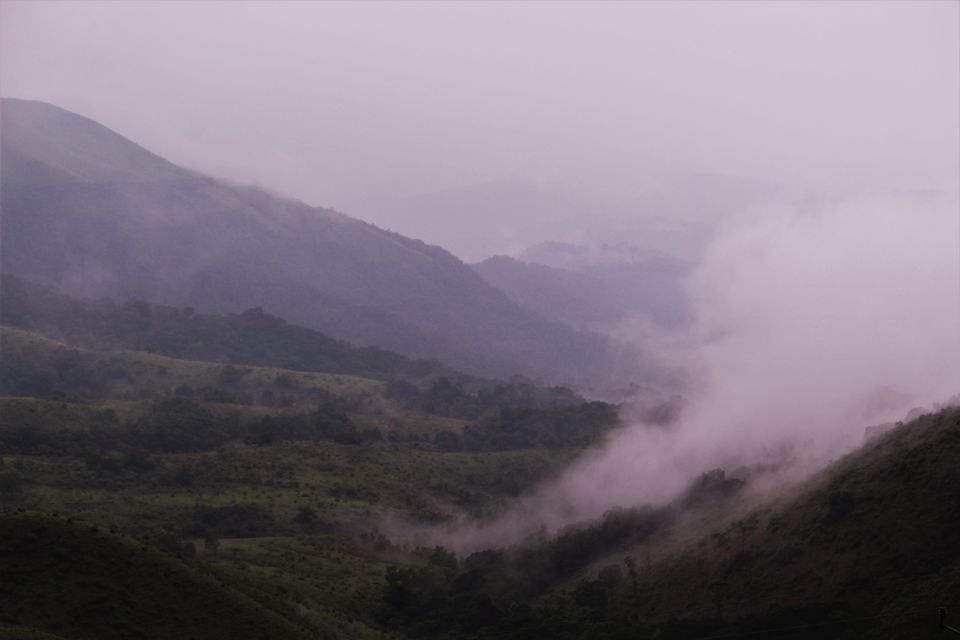 Photo of Chikmagalur, Karnataka, India by tanwistha gope