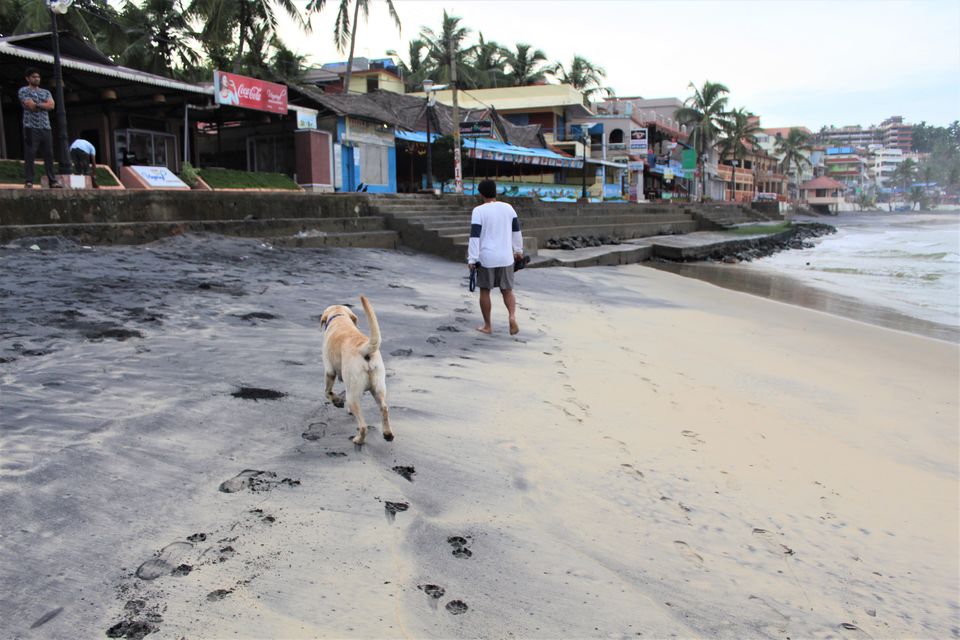 Photo of Kovalam Beach, India by tanwistha gope