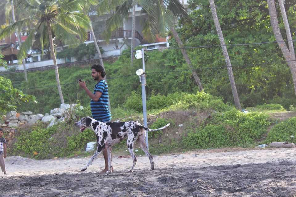 Photo of Kovalam Beach, India by tanwistha gope