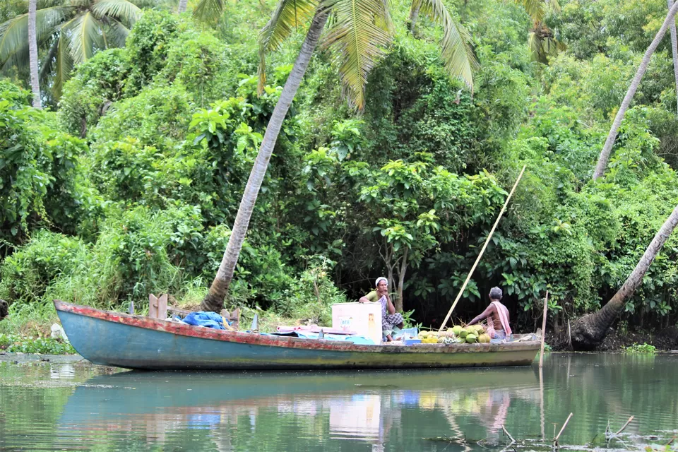 Photo of Poovar, Kerala, India by tanwistha gope