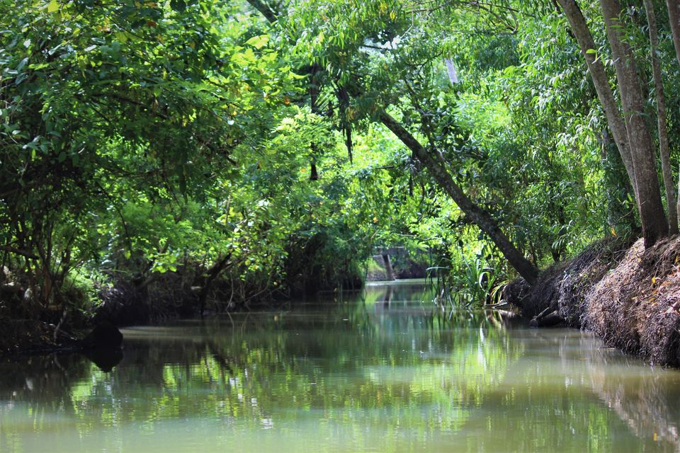 Photo of Poovar, Kerala, India by tanwistha gope