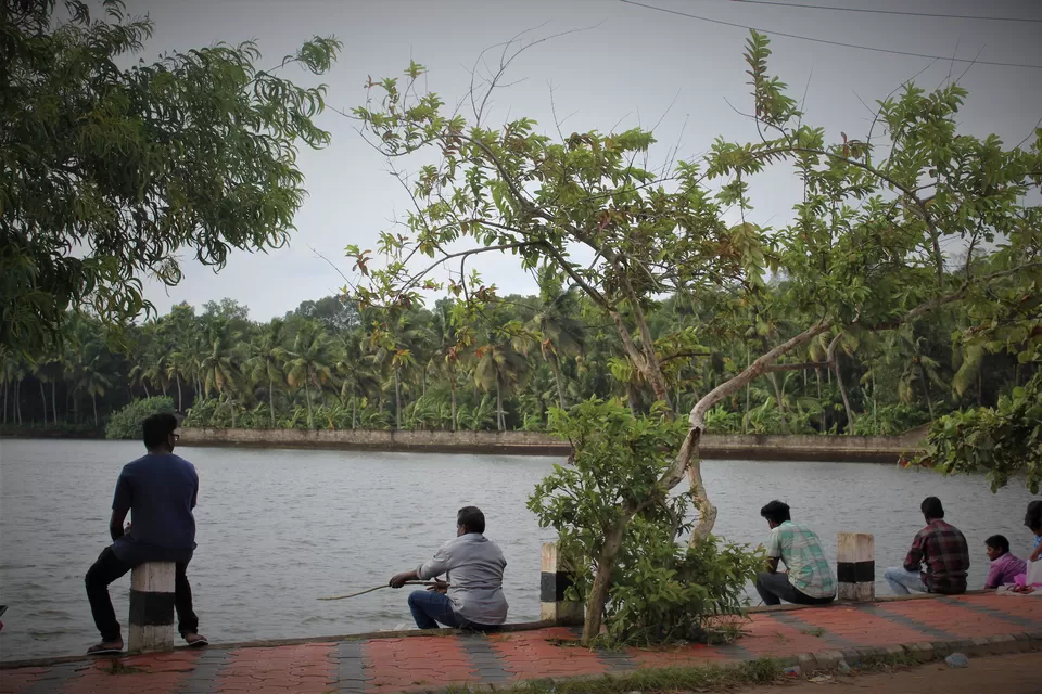 Photo of Vellayani Lake, Kerala by tanwistha gope