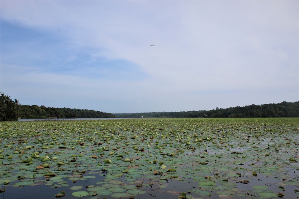 Photo of Vellayani Lake, Kerala by tanwistha gope