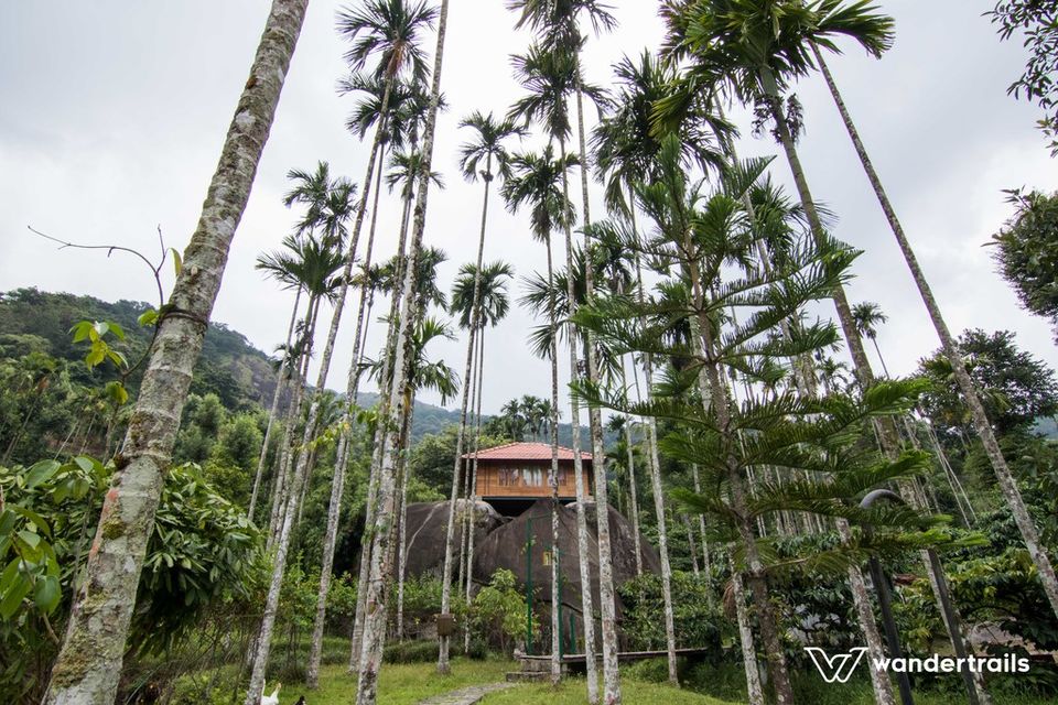 Photo of 4 Getaways in Wayanad to look out for 3/4 by Madhulina Mallik