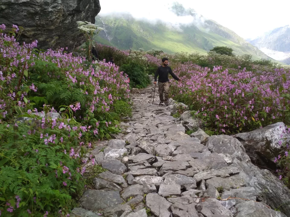 Photo of Valley of Flowers National Park, Uttarakhand, India by Danish Khan