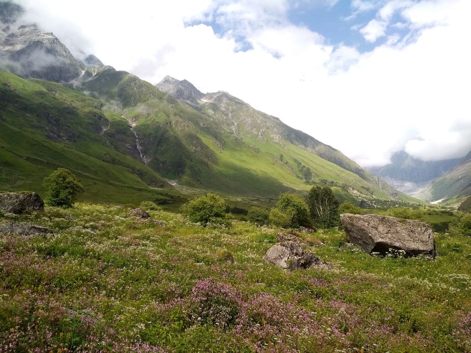 Photo of Trekking Valley of Flowers in 4 days and under 3000 | Paradise in Uttarakhand 1/1 by Danish Khan
