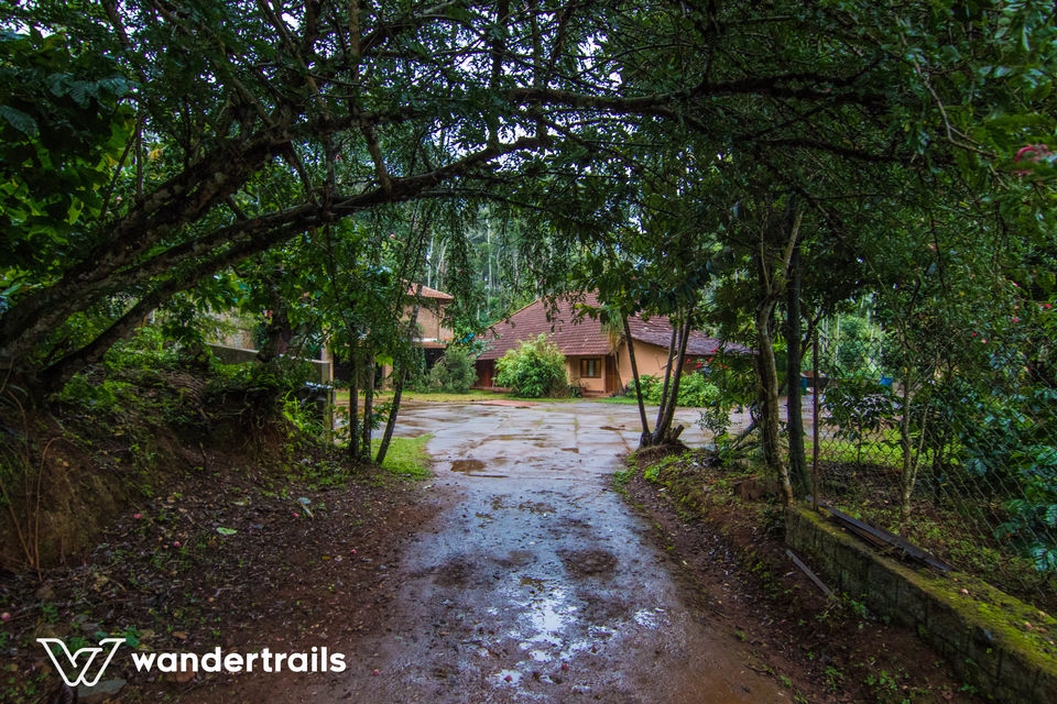 Photo of Top 7 getaways that make holidaying with your pets 'paw'ssible! 4/7 by Shweta Prabhu