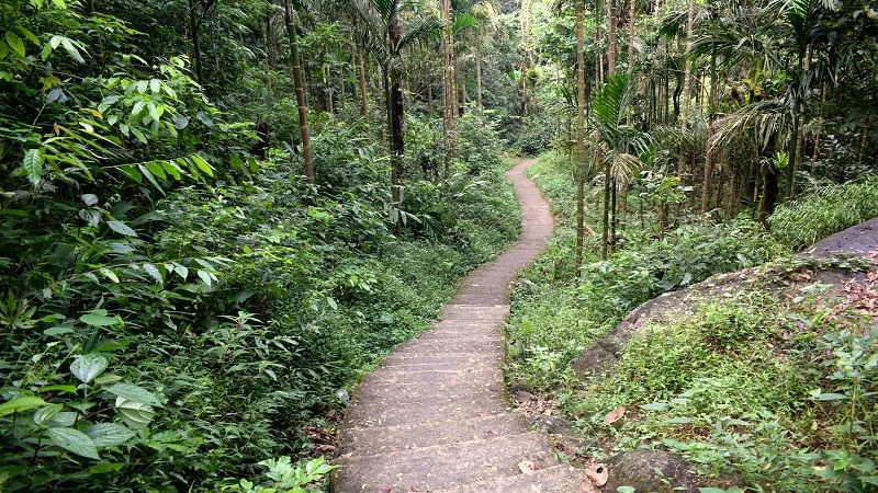 Photo of Trek To Double Decker Root Bridge In Cherrapunjee: Trip To Meghalaya by Sushant Pandey