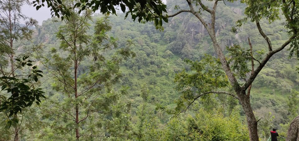Photo of 2 days trip to Yercaud(Part-2) 5/12 by Bikash Jaiswal