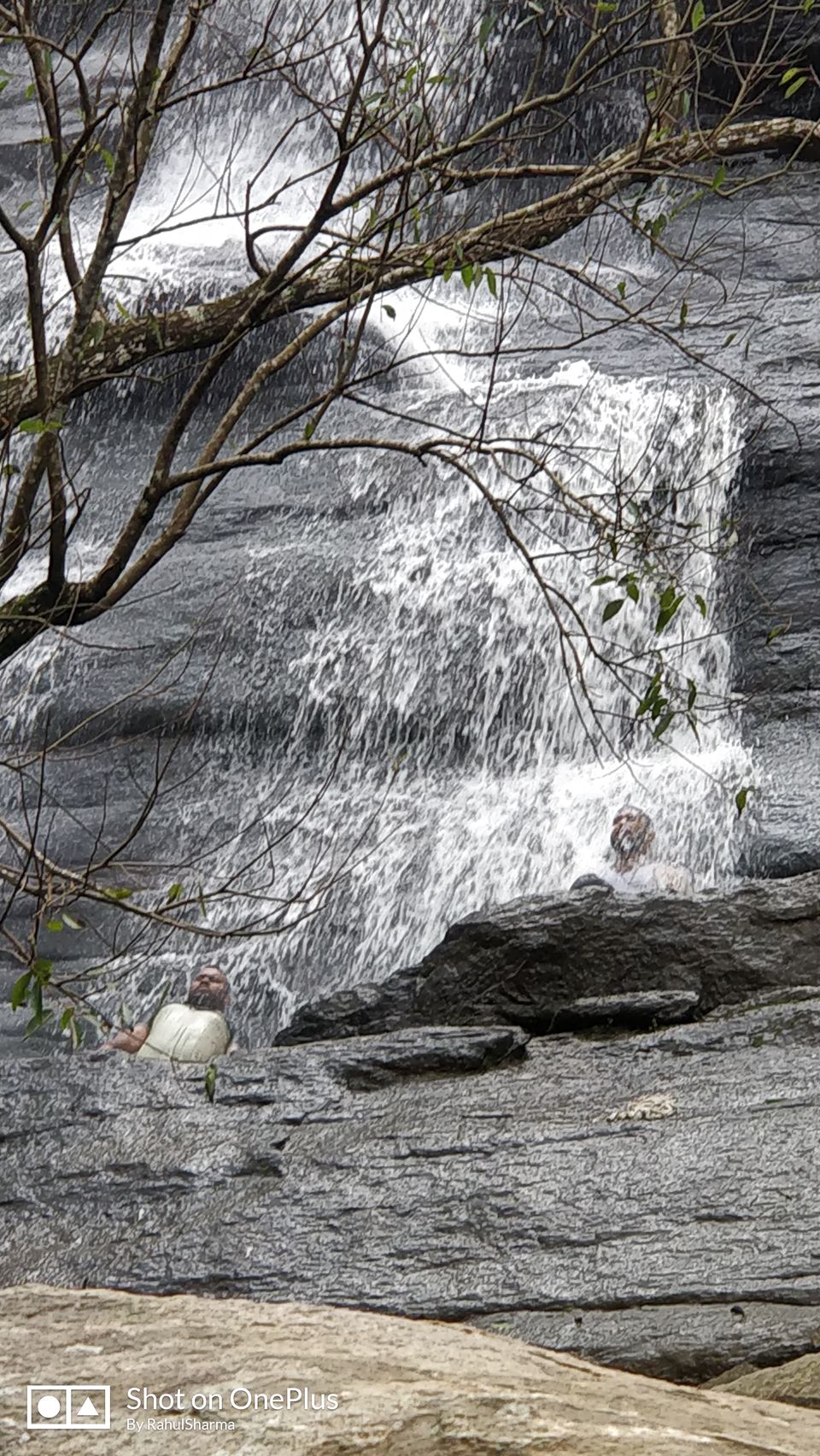Photo of 2 days trip to Yercaud(Part-2) 10/12 by Bikash Jaiswal