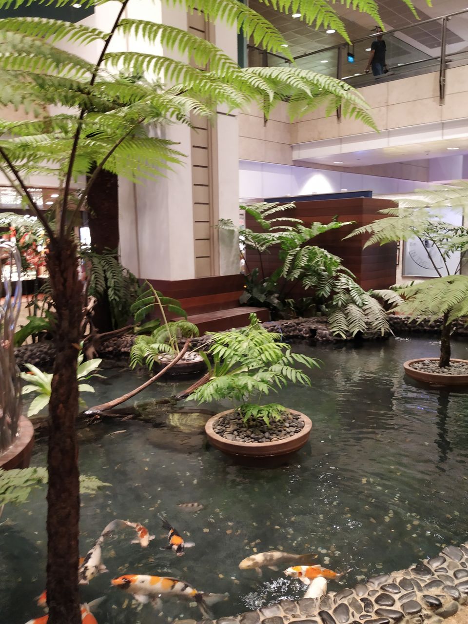 Photo of DIY Singapore in small budget by Anuradha Mod