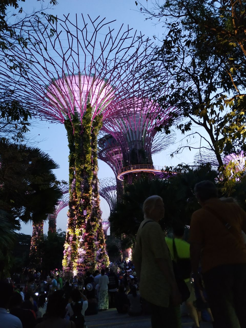 Photo of DIY Singapore in small budget by Anuradha Mod