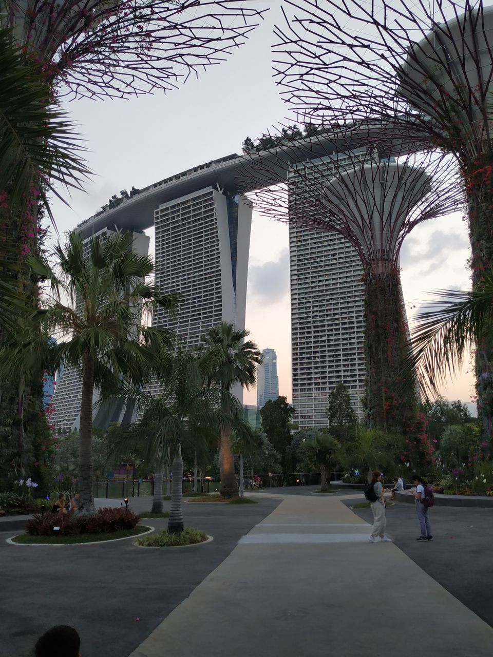 Photo of DIY Singapore in small budget by Anuradha Mod