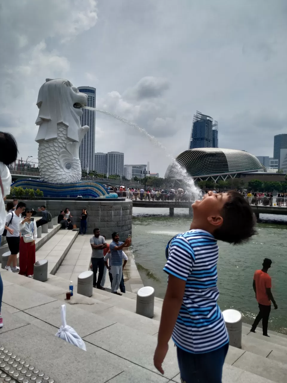 Photo of DIY Singapore in small budget by Anuradha Mod