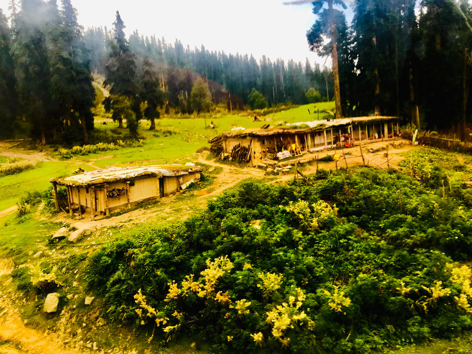 Photo of Gulmarg by Ajay Dalal