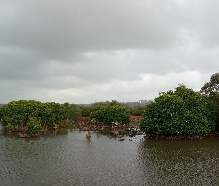 Photo of Chapora Fort, North Goa, Goa, India by Iswarya Sudhakaran