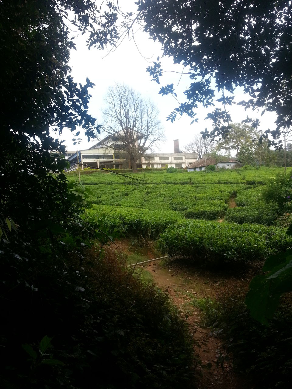 Photo of #TripotoTakeMeToHimalayas Nelliyampathy-The Road to Eternal Bliss by Iswarya Sudhakaran