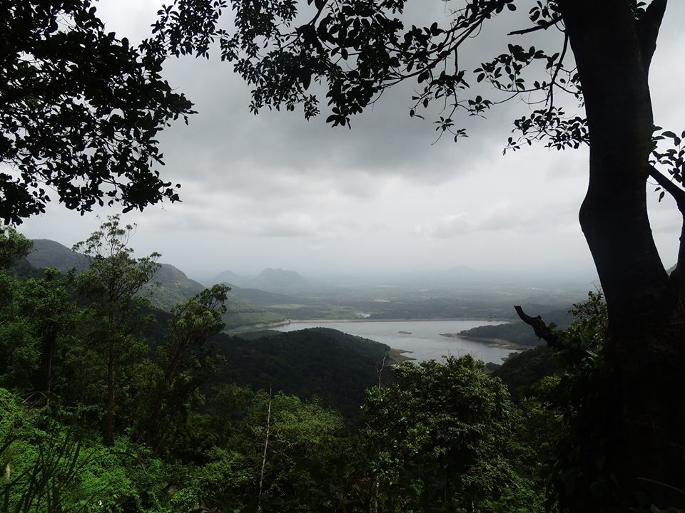 Photo of #TripotoTakeMeToHimalayas Nelliyampathy-The Road to Eternal Bliss by Iswarya Sudhakaran