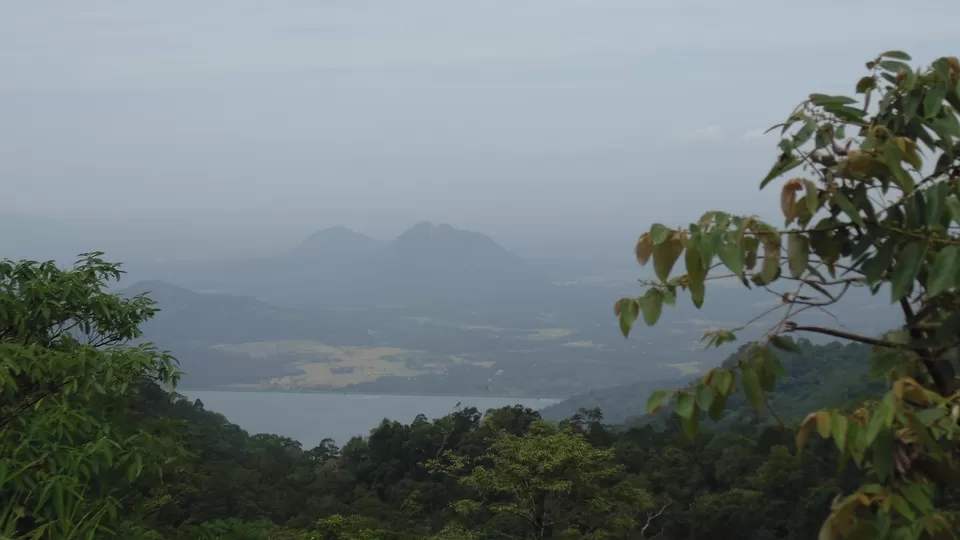 Photo of Nelliyampathy by Iswarya Sudhakaran