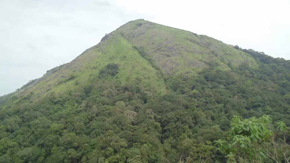 Photo of Nelliyampathy by Iswarya Sudhakaran