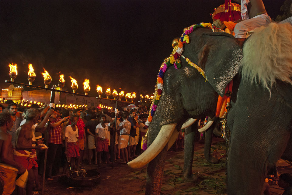 Photo of Mother of all Poorams-Thrissur Pooram #TripotoTakeMeToHimalayas by Iswarya Sudhakaran