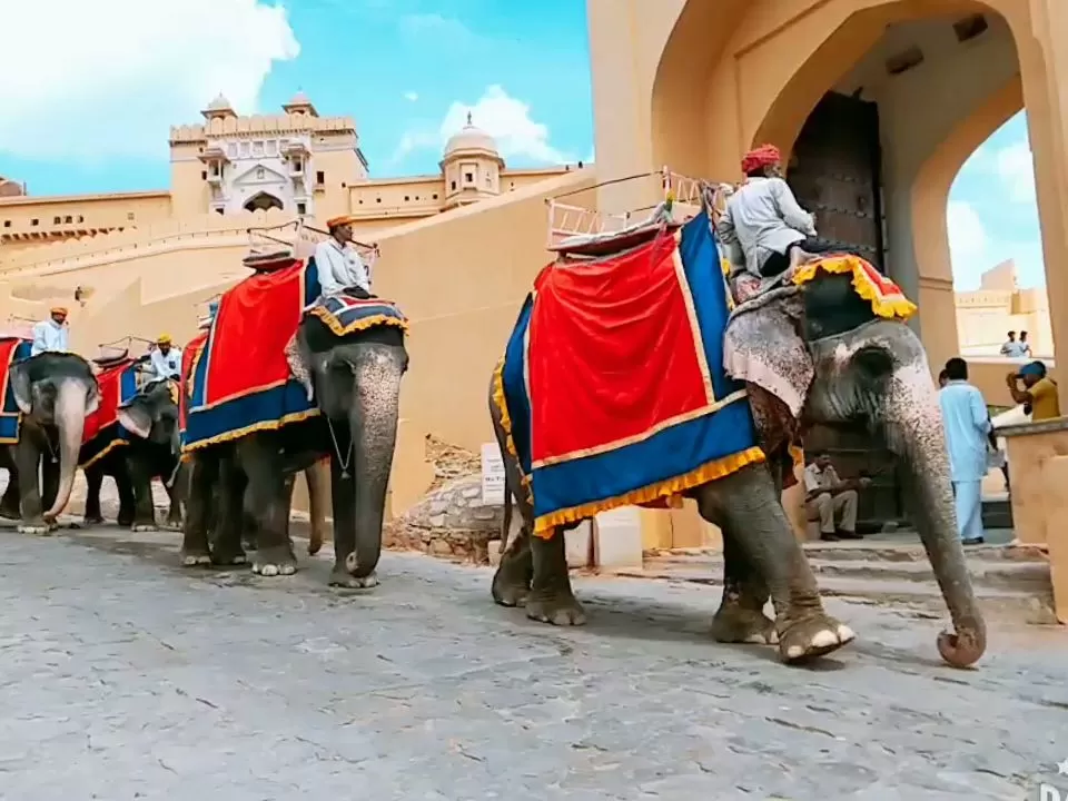 Photo of Amer Fort, Devisinghpura, Amer, Jaipur, Rajasthan, India by Iswarya Sudhakaran