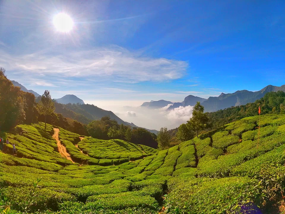 Photo of Wayanad, Kerala, India by Iswarya Sudhakaran