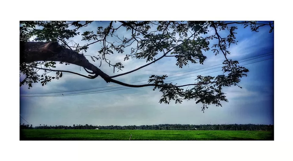 Photo of Kumarakom, Kerala, India by Iswarya Sudhakaran