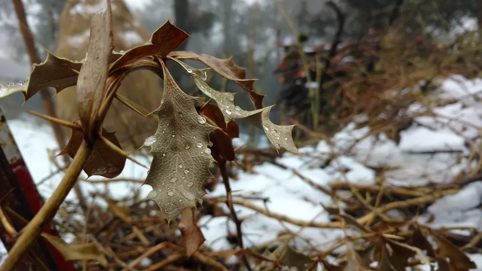 Photo of Snow View point, Mallital, Nainital, Uttarakhand, India by Kopal Pareek