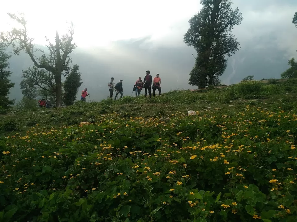 Photo of Subtracting humans, Adding mountains - How I trekked to Bhrigu Lake In 1 Day & Descended In Darkness by Shashank Sinha