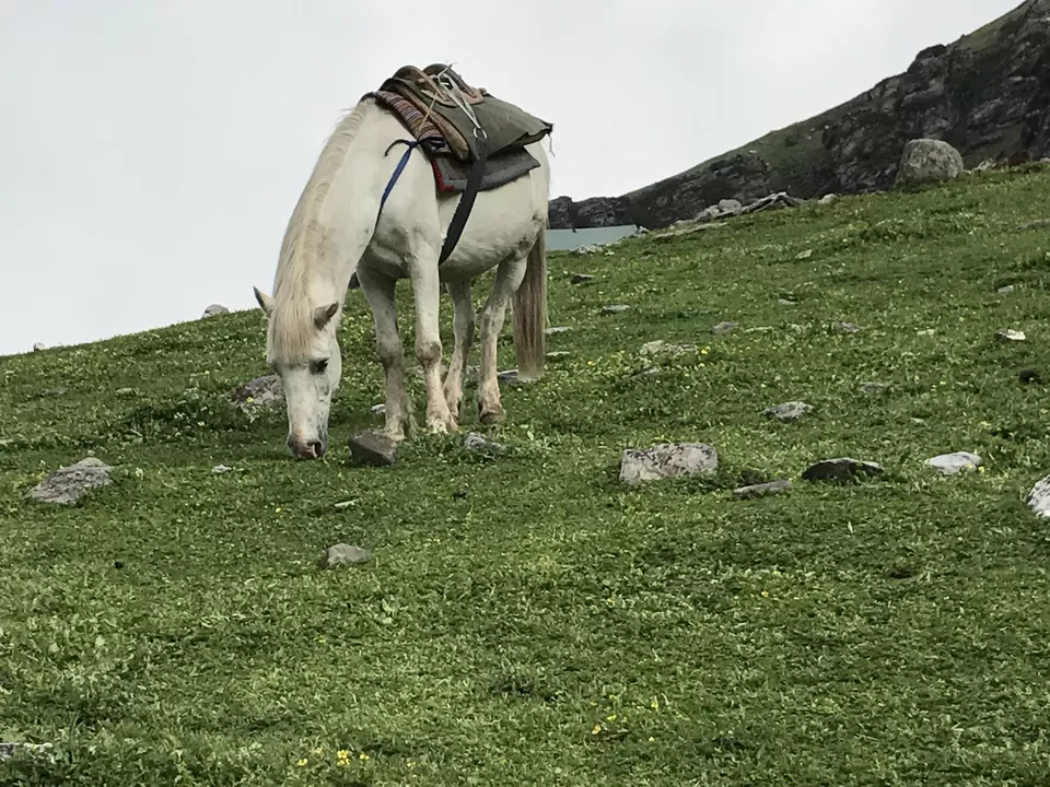 Photo of Subtracting humans, Adding mountains - How I trekked to Bhrigu Lake In 1 Day & Descended In Darkness by Shashank Sinha