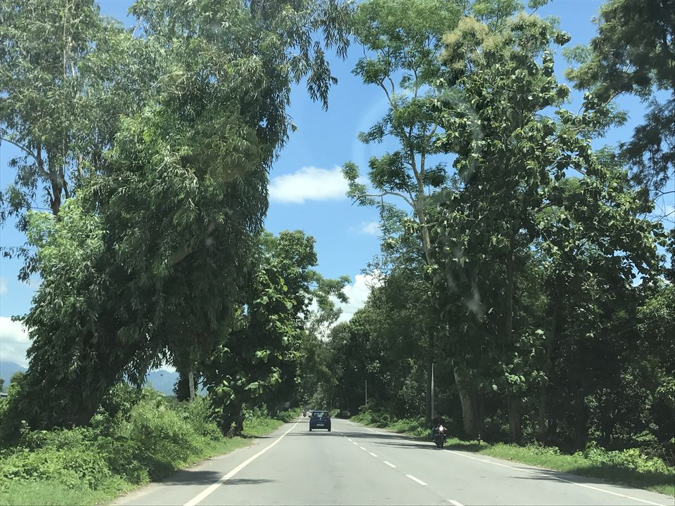 Photo of Jim Corbett National Park, Ramnagar, Uttarakhand, India by Shashank Sinha