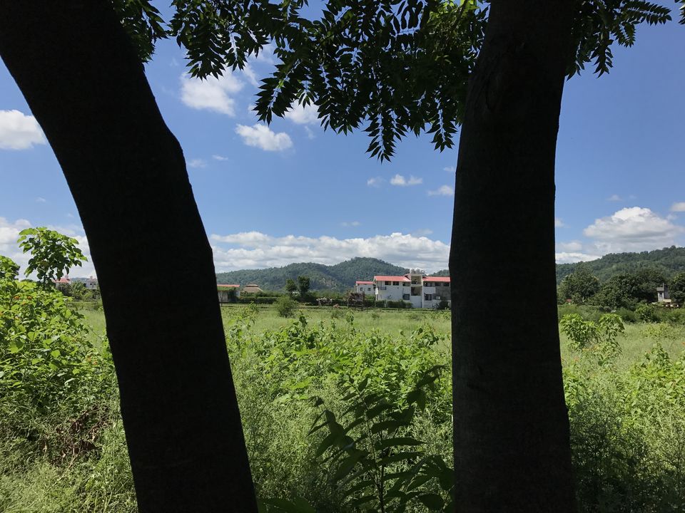Photo of What to expect from Jim Corbett in off-season (July) by Shashank Sinha