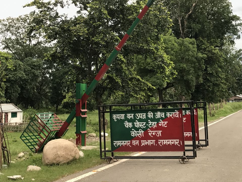 Photo of What to expect from Jim Corbett in off-season (July) by Shashank Sinha
