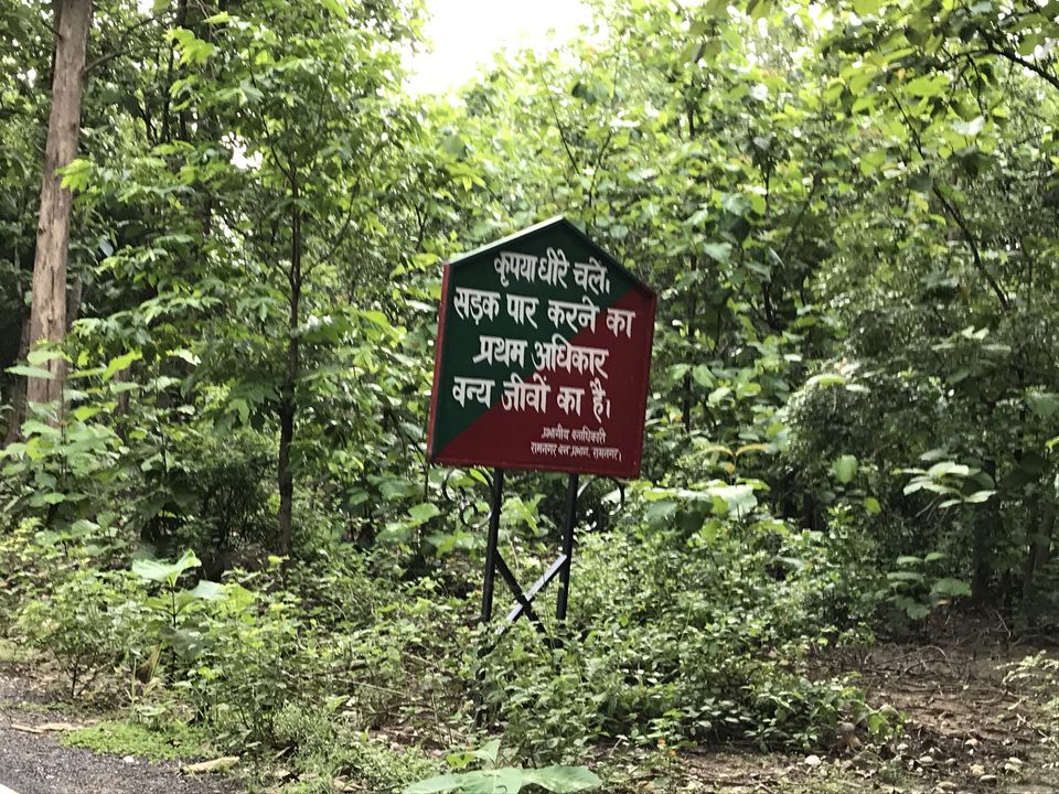 Photo of What to expect from Jim Corbett in off-season (July) by Shashank Sinha