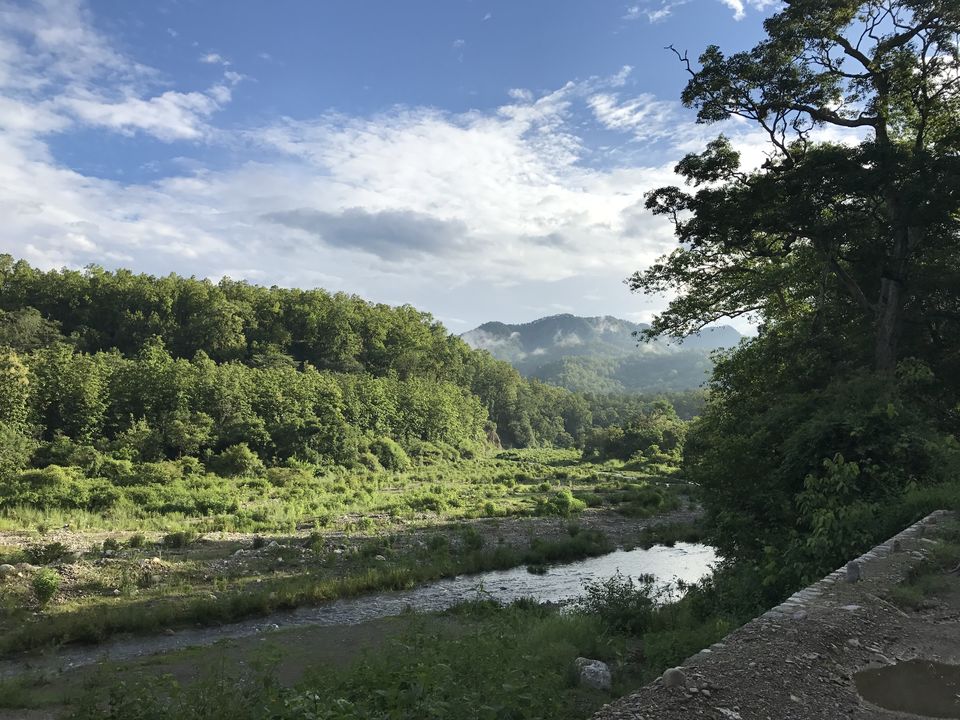Photo of What to expect from Jim Corbett in off-season (July) by Shashank Sinha
