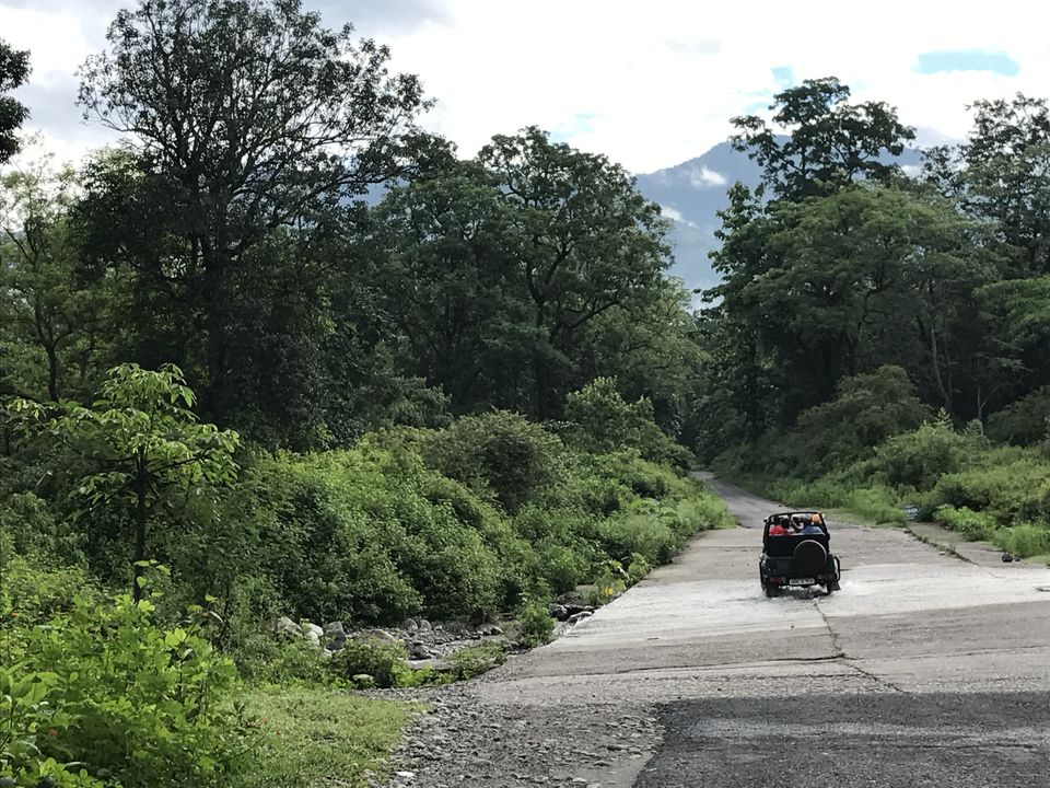 Photo of What to expect from Jim Corbett in off-season (July) by Shashank Sinha