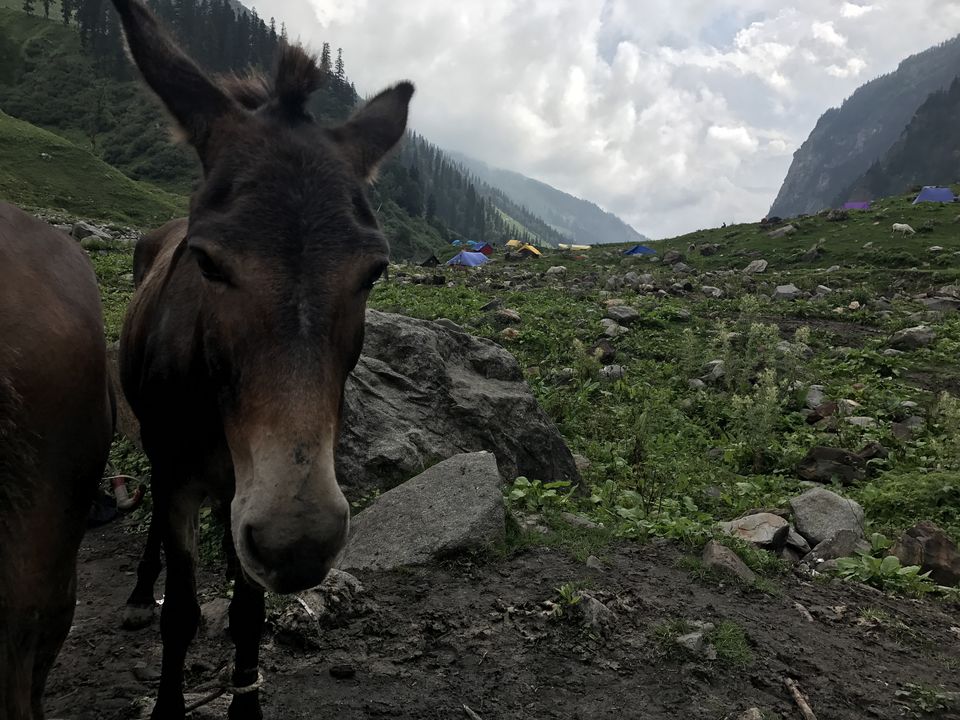 Photo of Hampta Pass - A complete guide to cover in 4 days. 30/84 by Shashank Sinha