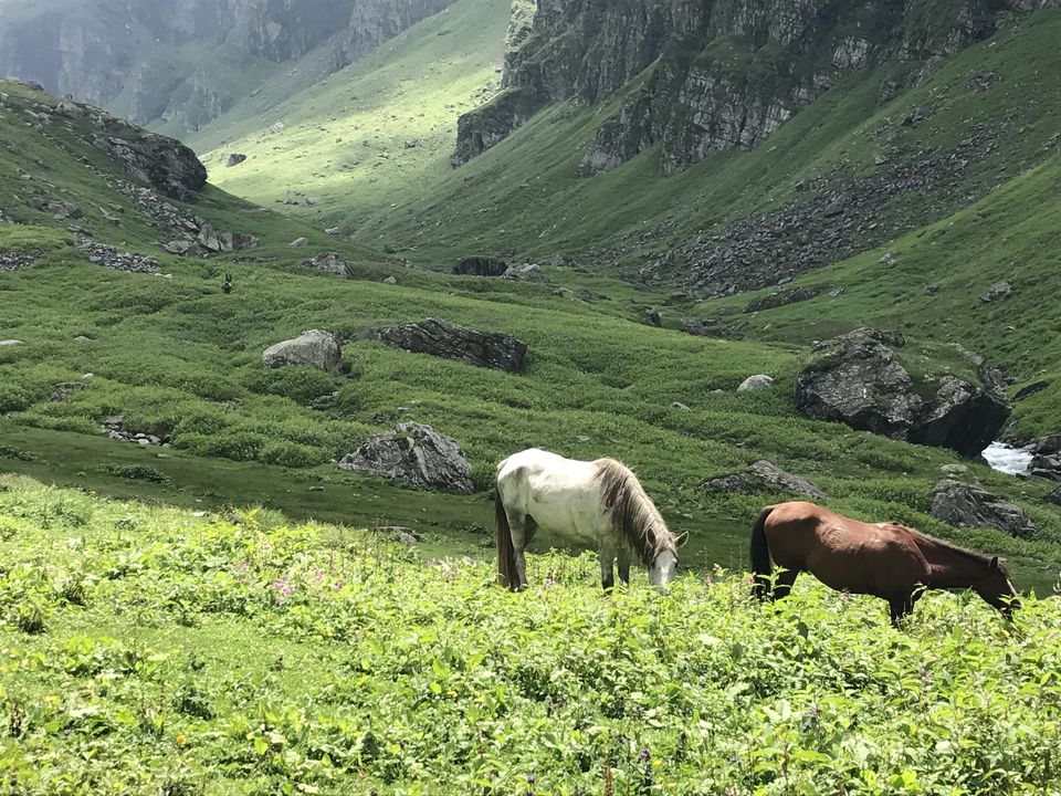 Photo of Hampta Pass - A complete guide to cover in 4 days. 46/84 by Shashank Sinha
