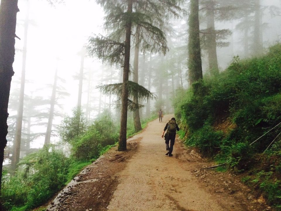 Photo of Triund Trek Trail, Trail to Triund Hill, Dharamshala, Himachal Pradesh, India by Shashank Sinha
