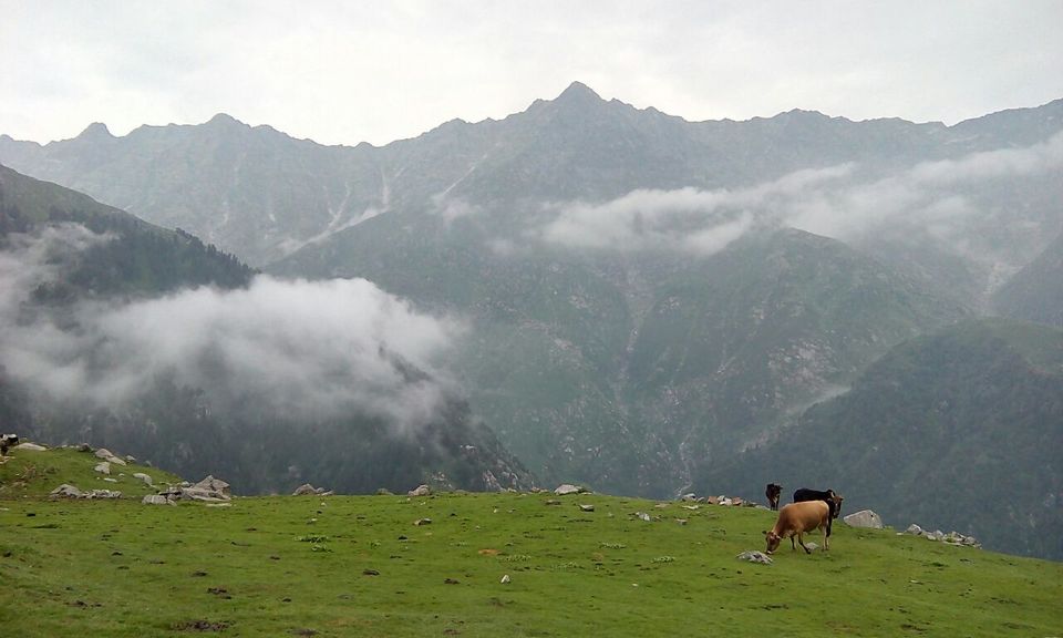 Photo of Triund - McleodGanj - First Chapter of the Trekking Book by Shashank Sinha