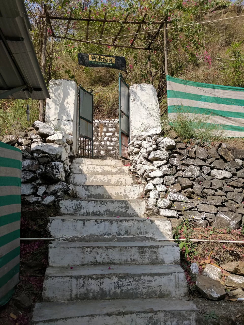 Photo of Wildex Camp Rishikesh, Paliyal Gaon, Uttarakhand, India by Shashank Sinha
